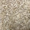 Odell Grass Seed 2 Odell Grass Seed -Essential Living Shop lrg 2376 Grass
