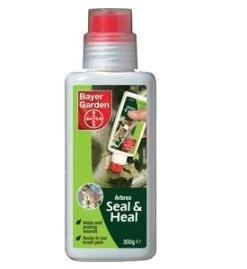 SEAL & HEAL - ARBREX