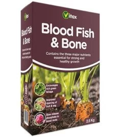 Blood Fish & Bone