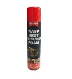Foam Wasp Nest Killer - Rentokil