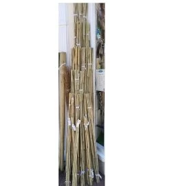 Garden Bamboo Canes